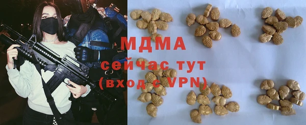 шишки Арсеньев