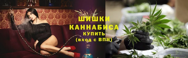 шишки Арсеньев