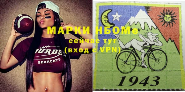 шишки Арсеньев