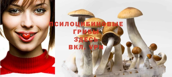 a pvp Аркадак