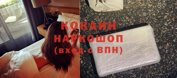 шишки Арсеньев