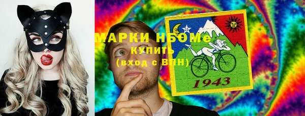 шишки Арсеньев