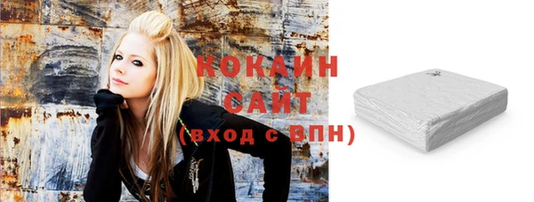 шишки Арсеньев